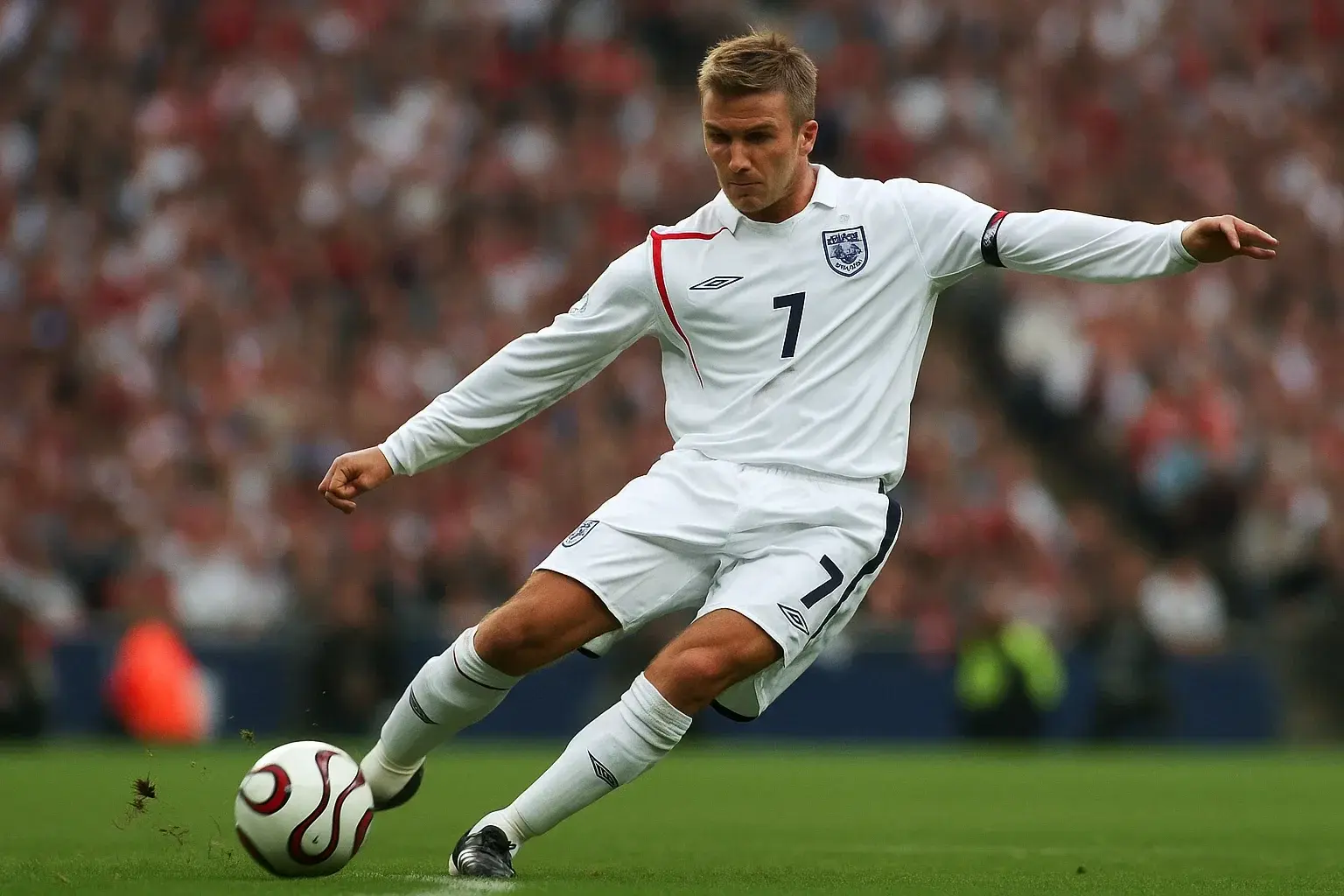 illustration for dead